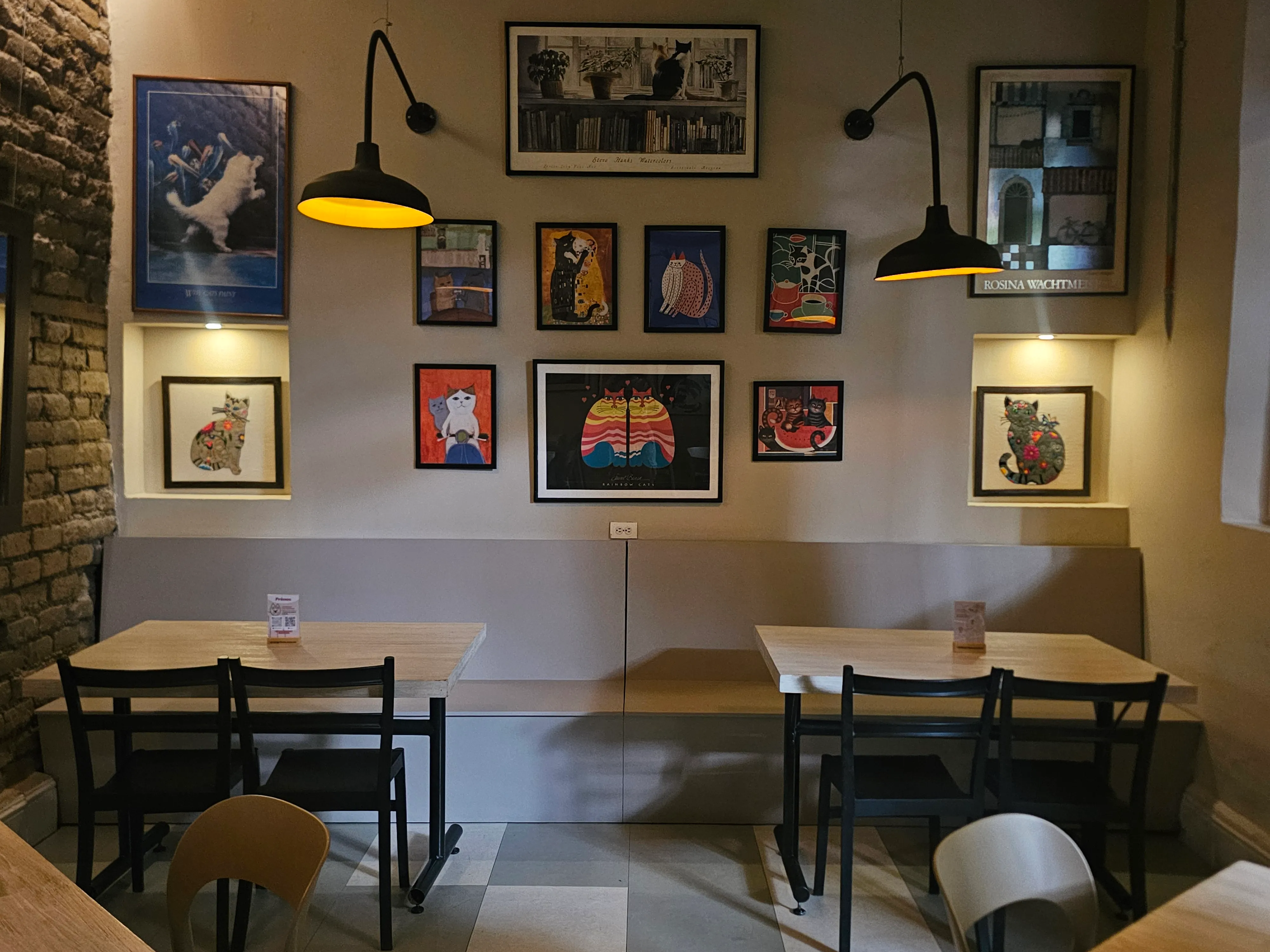 Pared de Primos llena de cuadros de gatos, homenaje a Hernando Tejada